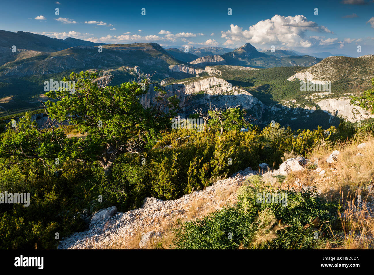 Montagnes, Verdon, Parc Naturel Régional du Verdon, le Parc Naturel Régional du Verdon, Provence, Provence-Alpes-Côte d'Azur, France Banque D'Images
