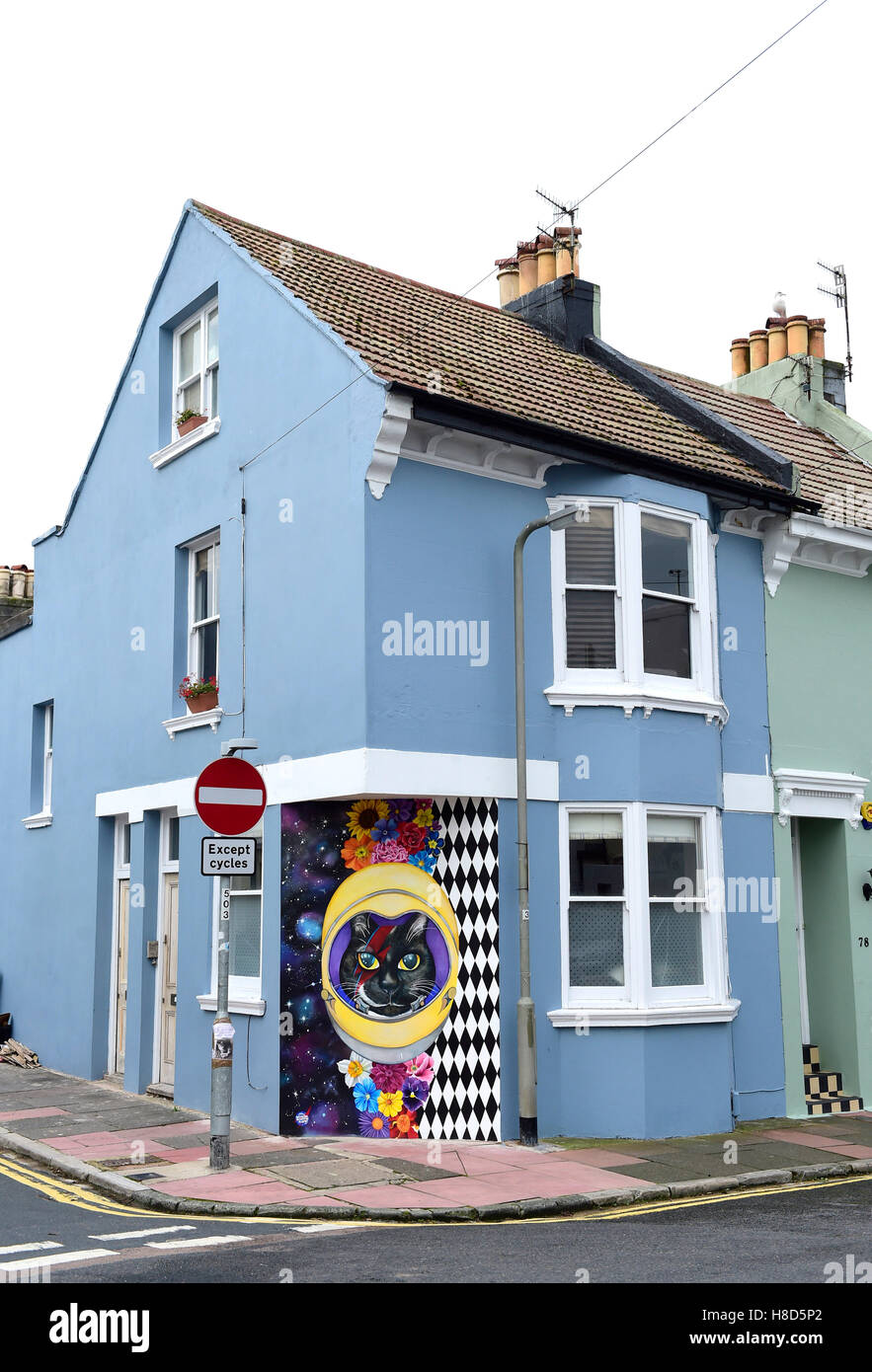 Maison d'angle avec une peinture murale chat peint sur mur à Hanovre district de Brighton UK Banque D'Images