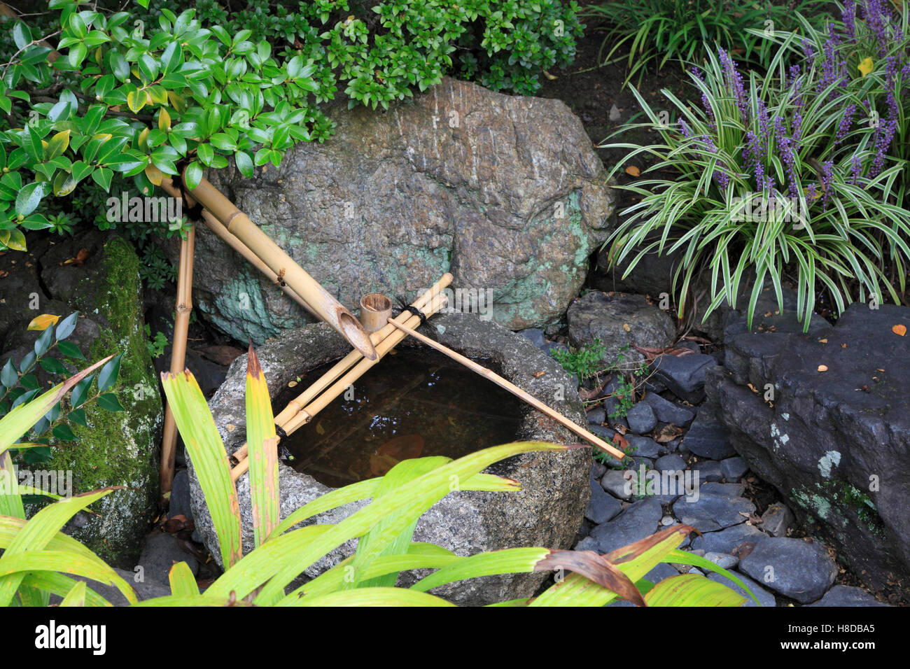 Le Japon, Kyoto, Myoken-ji jardin, fontaine, Banque D'Images