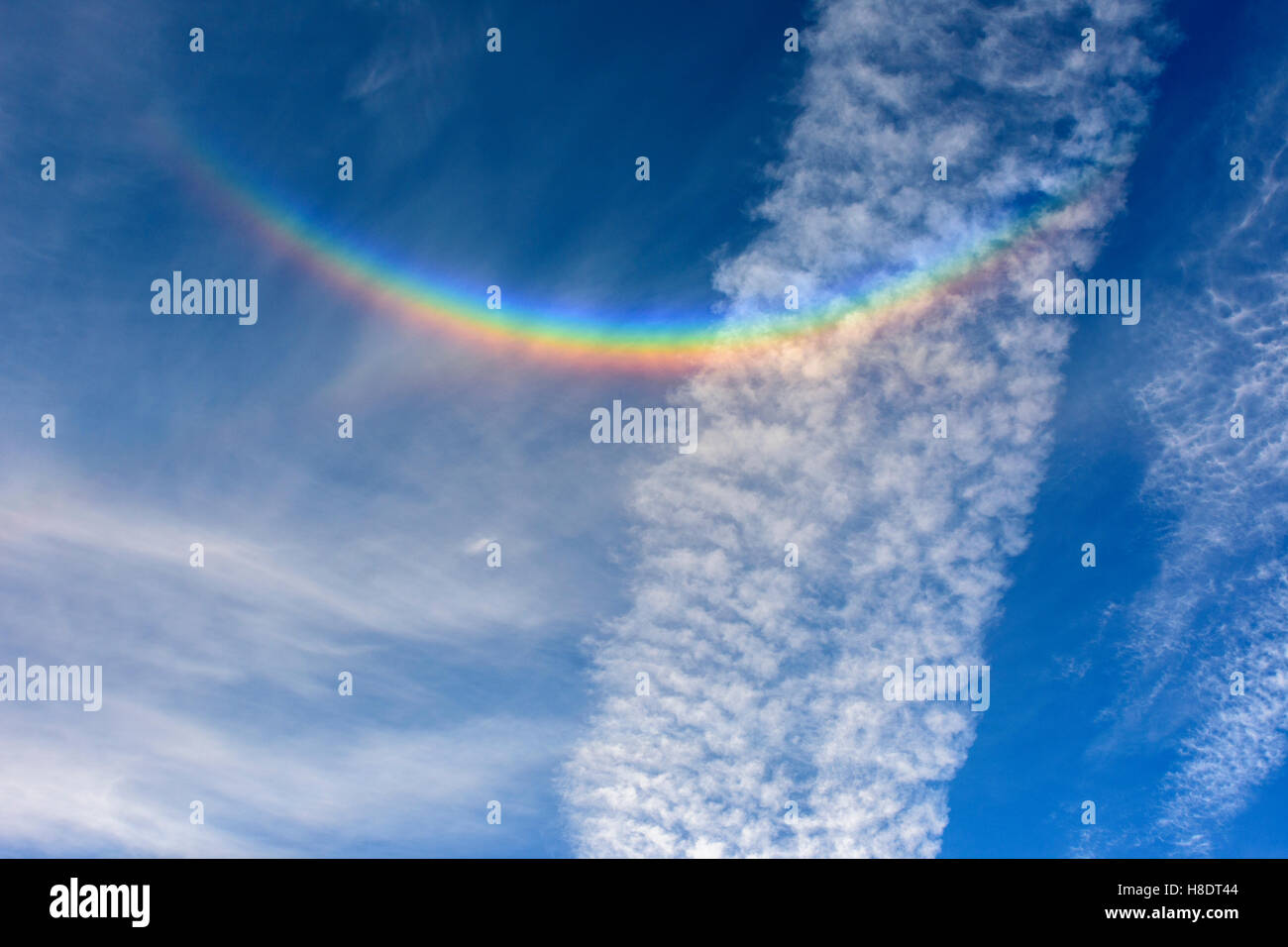 Un arc Circumzenithal aussi connu comme un arc-en-ciel est un phénomène optique créé comme la lumière du soleil se réfracte dans une manière spécifique à travers des cristaux de glace qui s'est tenue à cirrus, causant le ciel de sourire Crédit : Rafael Garea-Balado/Alamy Live News Banque D'Images