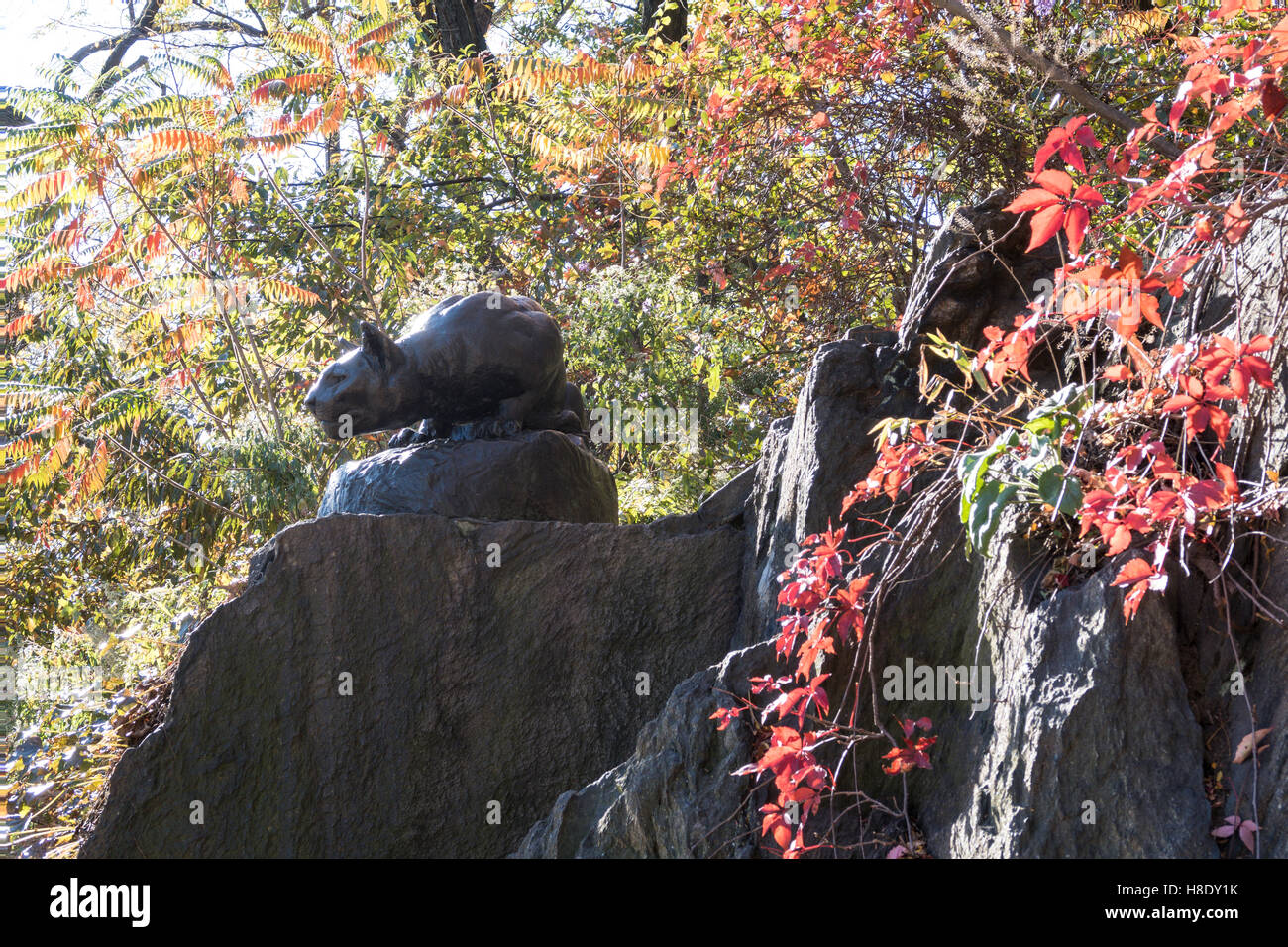 "Hunt" Sculpture Cougar, East Drive, 'CAT', Central Park, NYC Banque D'Images