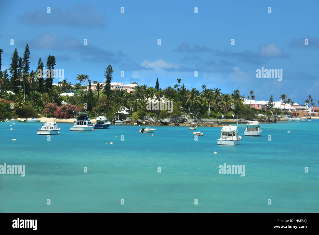 Bermudes Tropical littoral avec l'océan turquoise et de la végétation. Banque D'Images