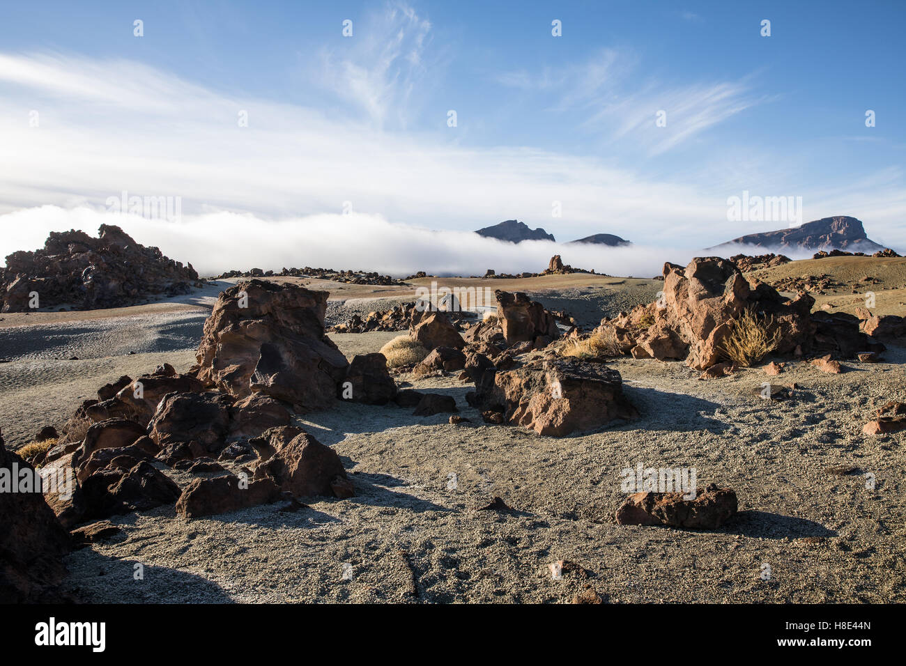 Las Minas de San Jose à Tenerife, Espagne Banque D'Images