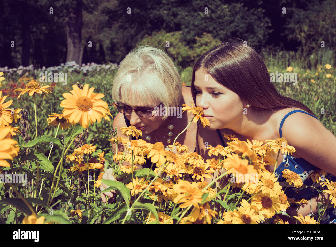 Deux femmes d'essence de fleurs dans le jardin. Heliopsis Les tons de la photo Banque D'Images