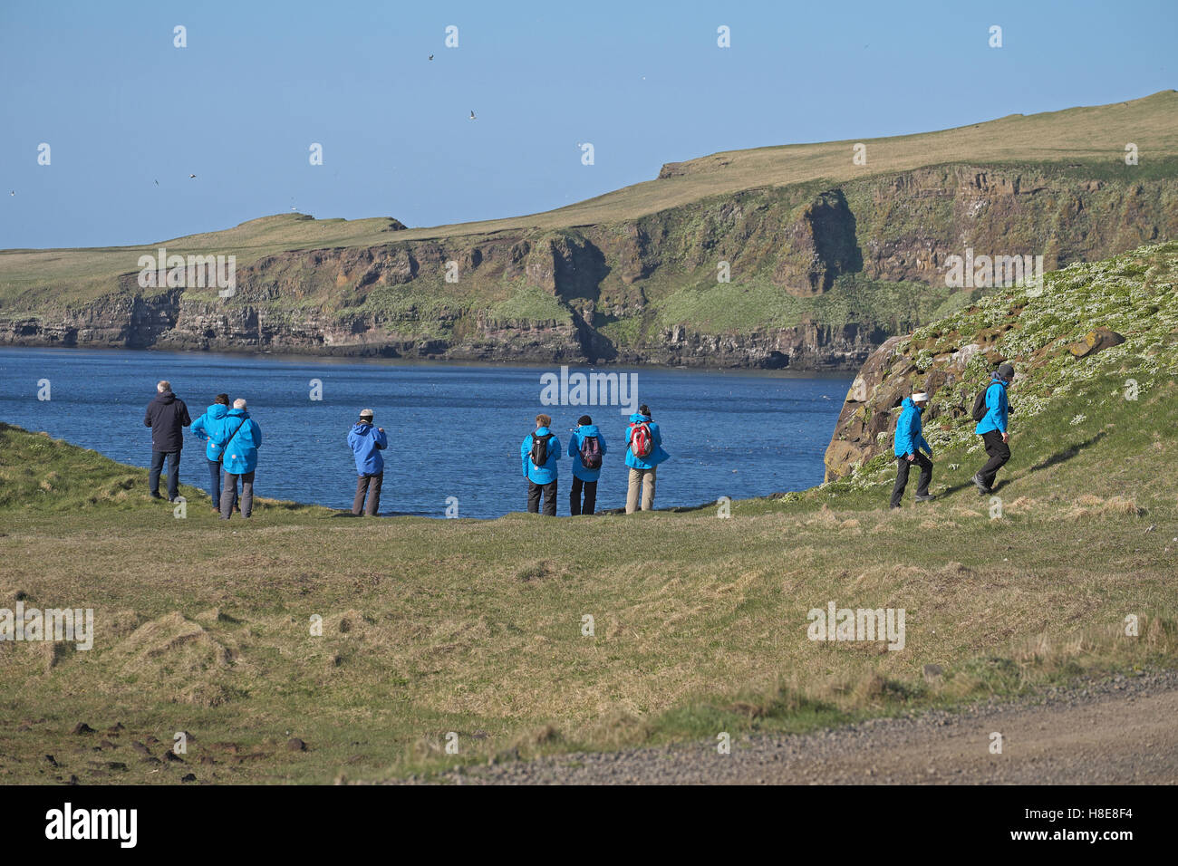 Groupe de touristes l'observation des oiseaux, l'île de Grimsey, du nord-est de l'Islande. Banque D'Images