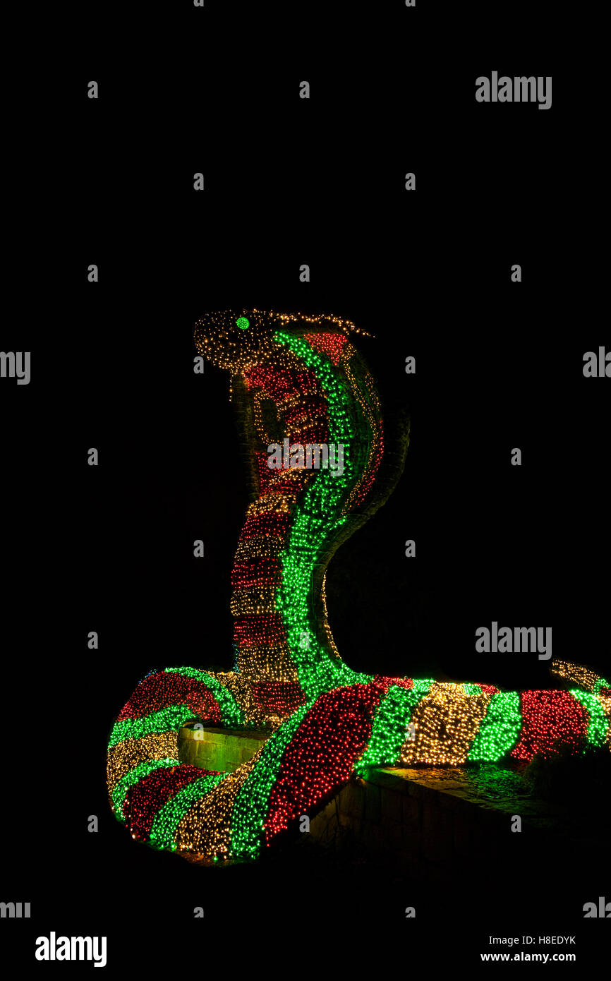 Sculpture de lumières colorées de serpent de Cobra la nuit, jardins botaniques d'Atlanta, Atlanta, Géorgie, États-Unis,US, faune concept isolé FS 10,54 300p Banque D'Images