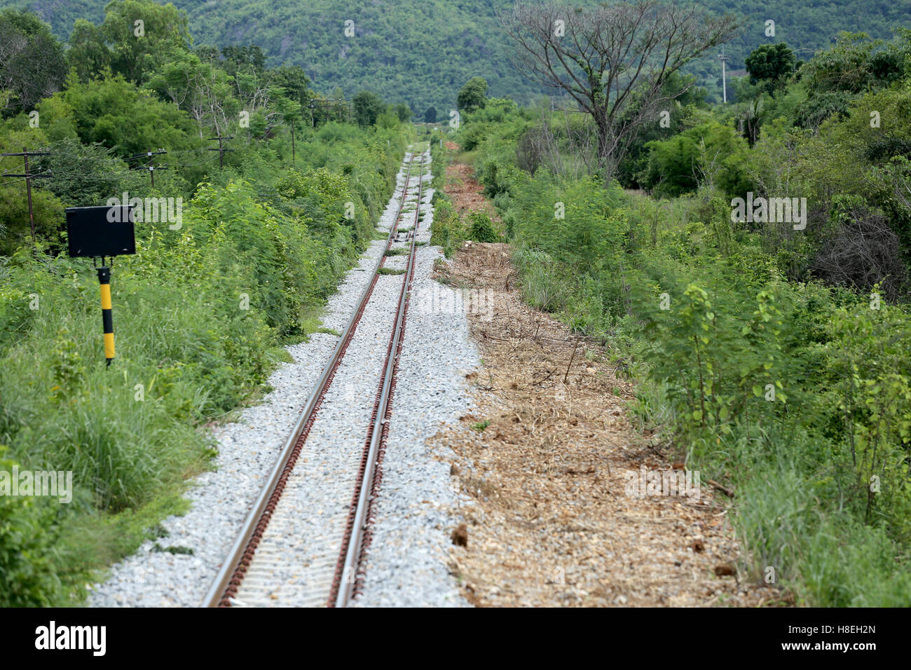 Chemin de fer de campagne vers les montagnes. Banque D'Images