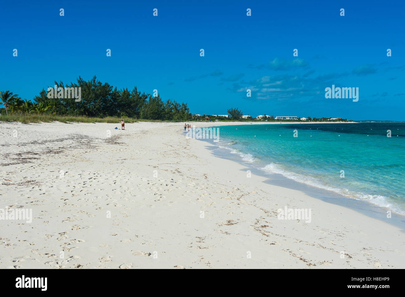 Célèbre Grace Bay Beach, Providenciales, Turks et Caicos, Caraïbes, Amérique Centrale Banque D'Images