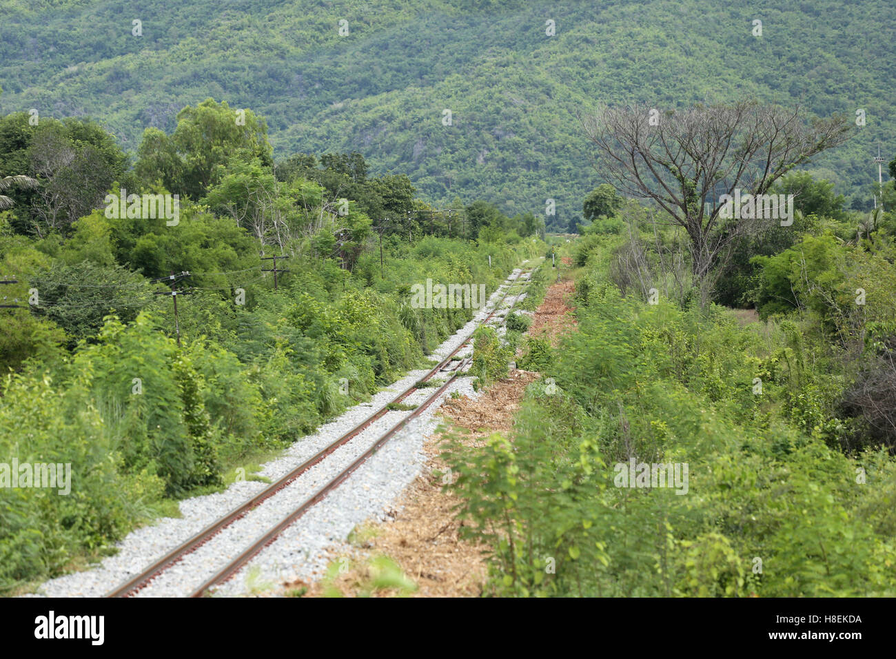 Chemin de fer de campagne vers les montagnes. Banque D'Images