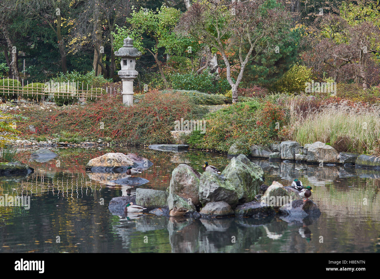 Le silence de l'automne le vide de la solitude de l'eau calme jardin japonais Wroclaw Banque D'Images