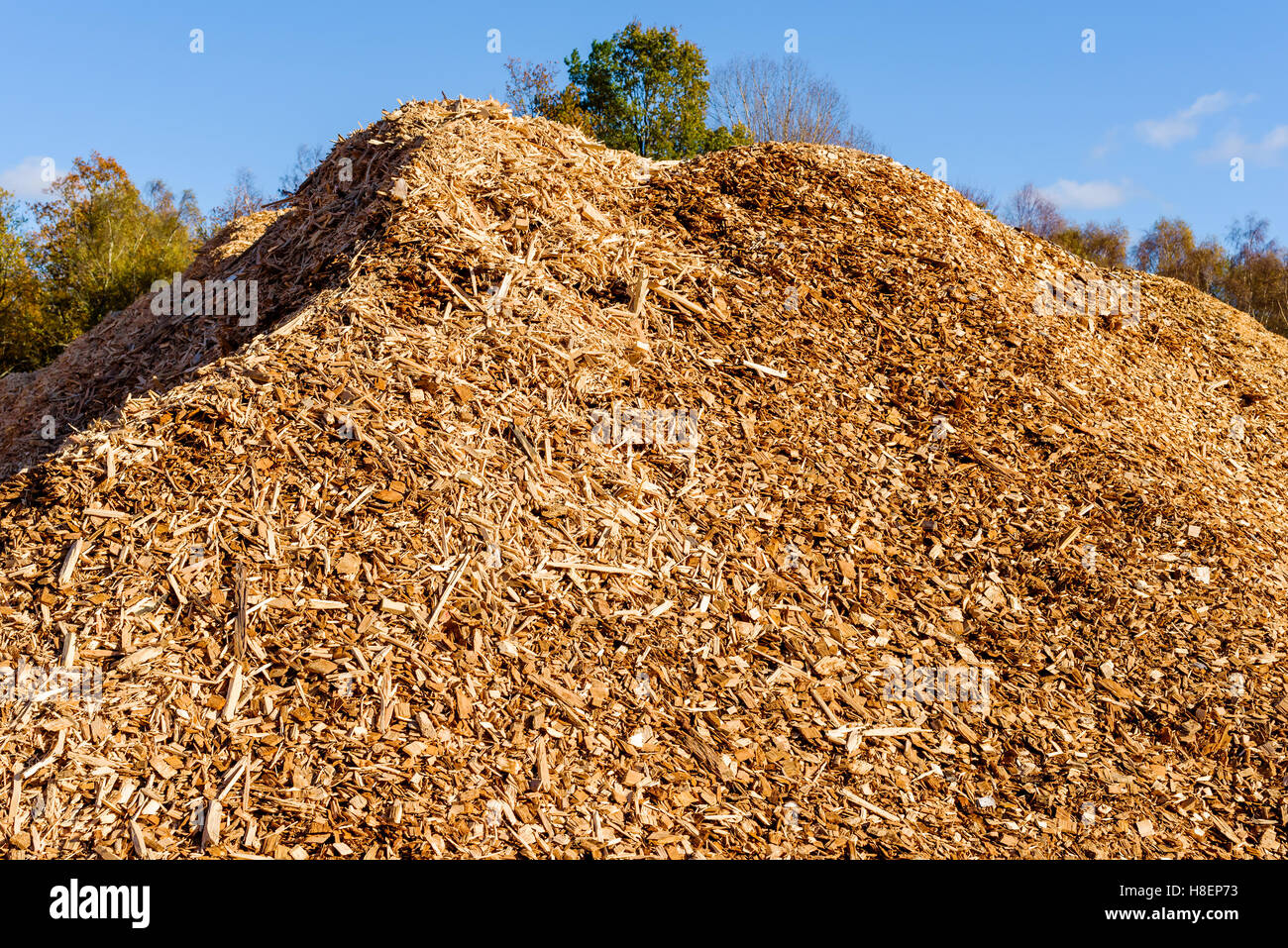 Gros tas de biomasse combustible solide sous forme de copeaux de bois de taille moyenne. Banque D'Images