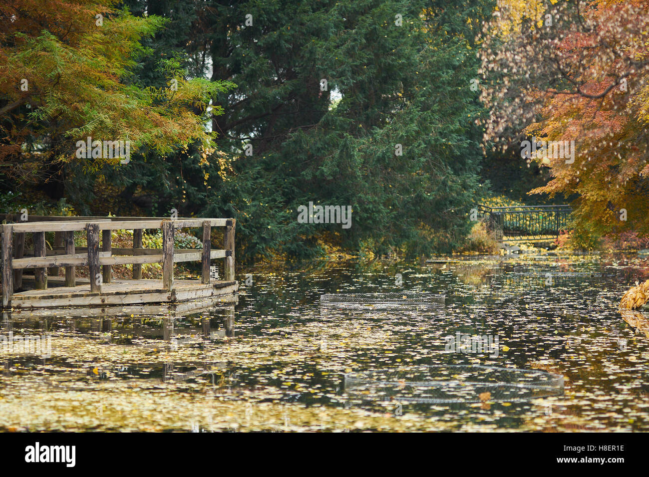 Le silence de l'automne le vide de la solitude de l'eau calme Banque D'Images