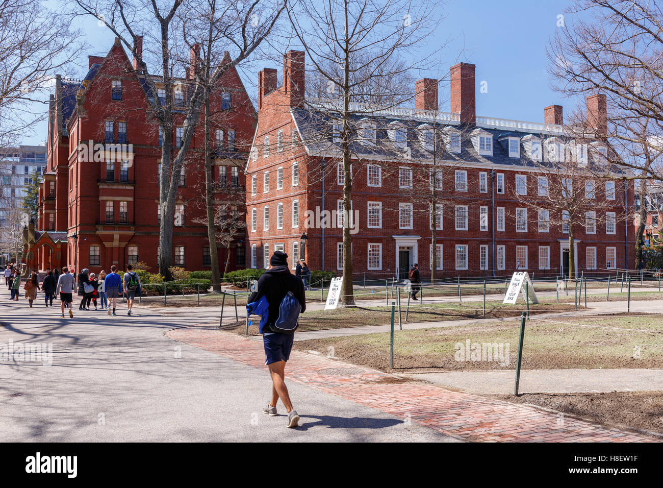 La vie au Harvard Yard, cœur historique du campus de l'Université de Harvard, au printemps, à Cambridge, MA, USA. Banque D'Images