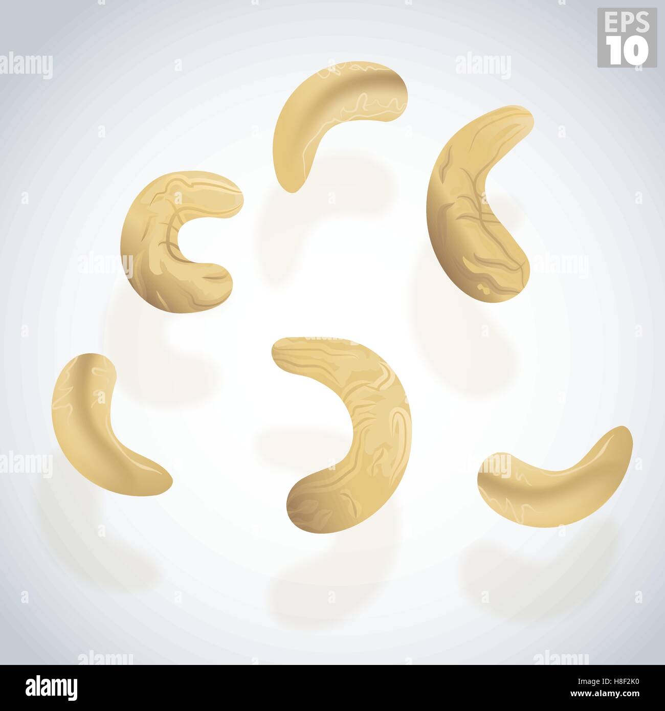 Cajou sur une surface réfléchissante Illustration de Vecteur