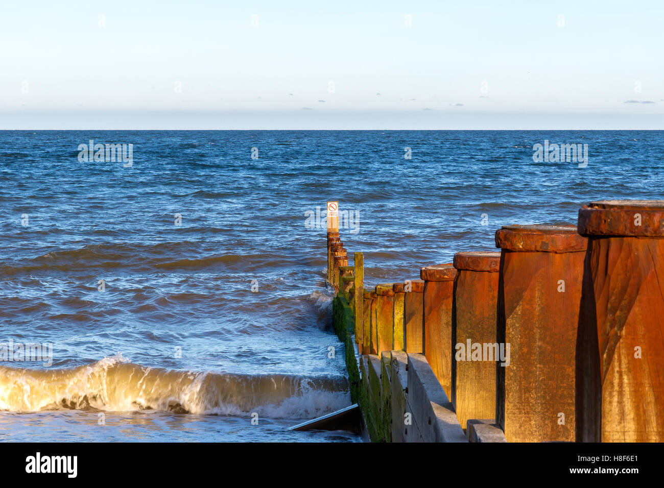 Bois épis pour protéger la côte de la mer à la plage de Southwold, UK Banque D'Images