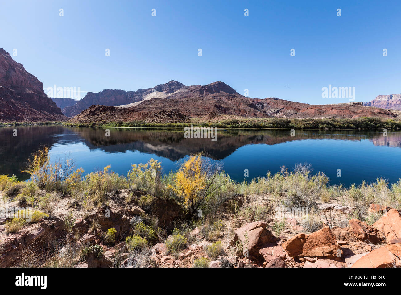 Colorado River qui coule à travers le désert de l'Arizona près de Lees Ferry. Banque D'Images