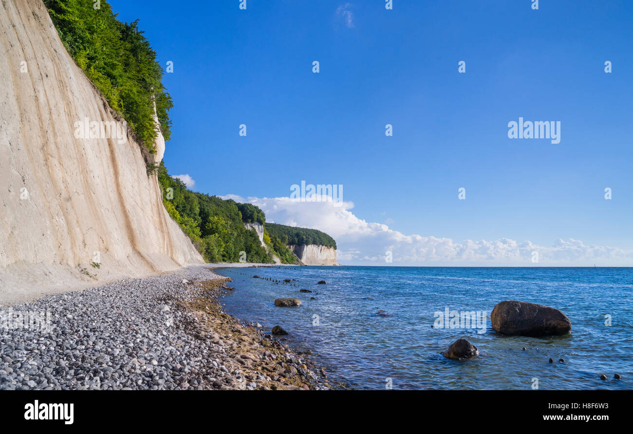Falaises de craie au Parc National de Jasmund, près de Königsstuhl (Président) du Roi sur l'île de Rügen, Mecklenburg-Vorpommern, Allemagne Banque D'Images