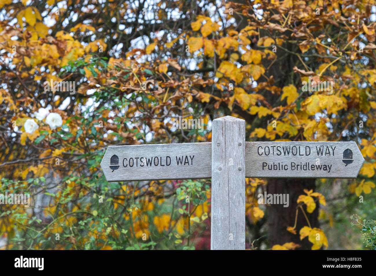 Cotswold Way panneau en face de arbres en automne. Arles, France Banque D'Images