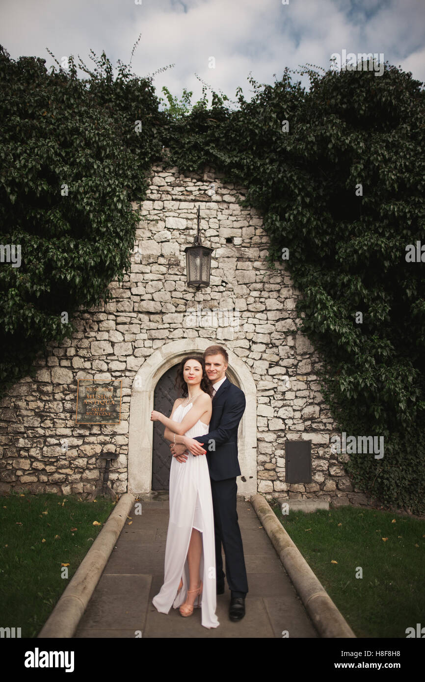 Beau mariage élégant couple, Bride and Groom posing in park près d'un mur de buissons Banque D'Images