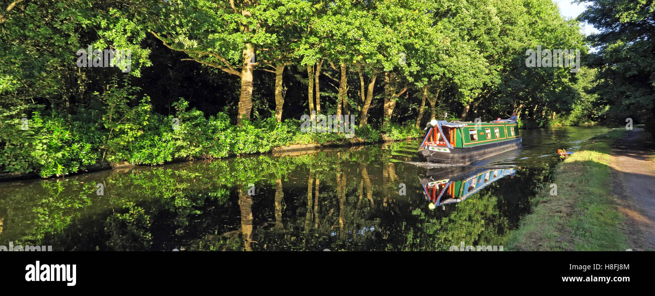 Canal de Bridgewater Runcorn en été, Waterside, Cheshire, Angleterre, Royaume-Uni Banque D'Images