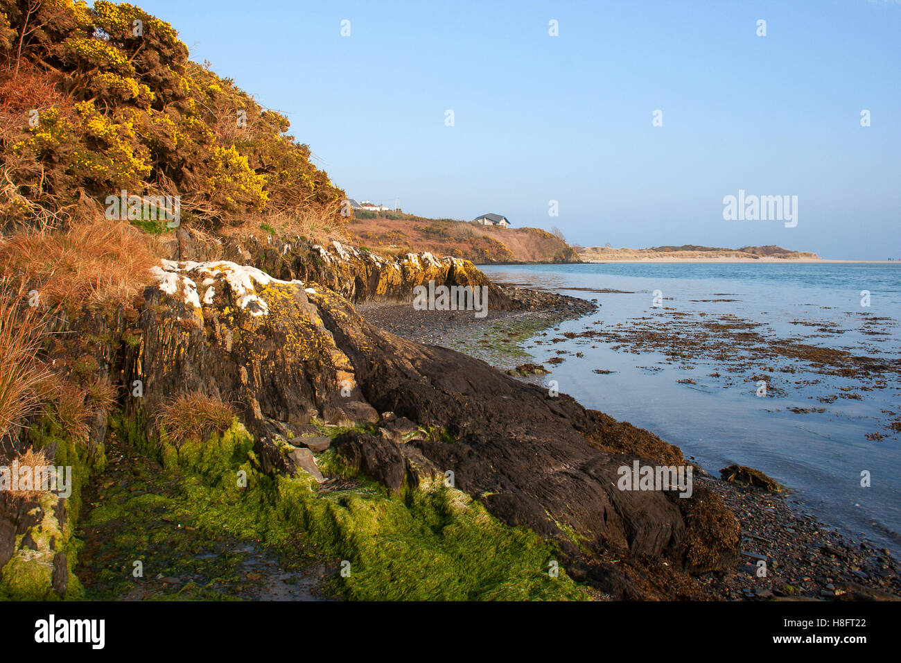 Marée basse dans une crique de sable à Inchadowney beach dans le comté de Cork, sur la côte sud de l'Irlande révèle les ondulations dans le sable Banque D'Images