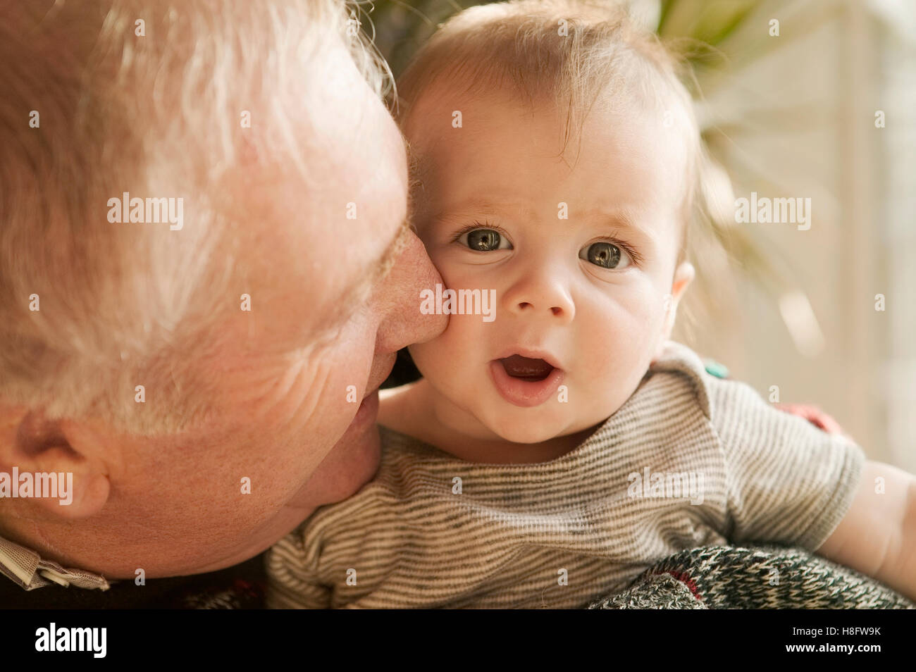 Portrait d'gandfather et petit-fils Banque D'Images