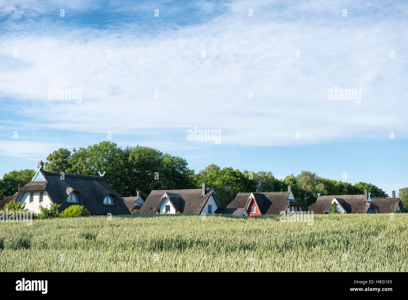 L'Allemagne, 1, l'île de Rügen, gager, maisons au toit de chaume Banque D'Images