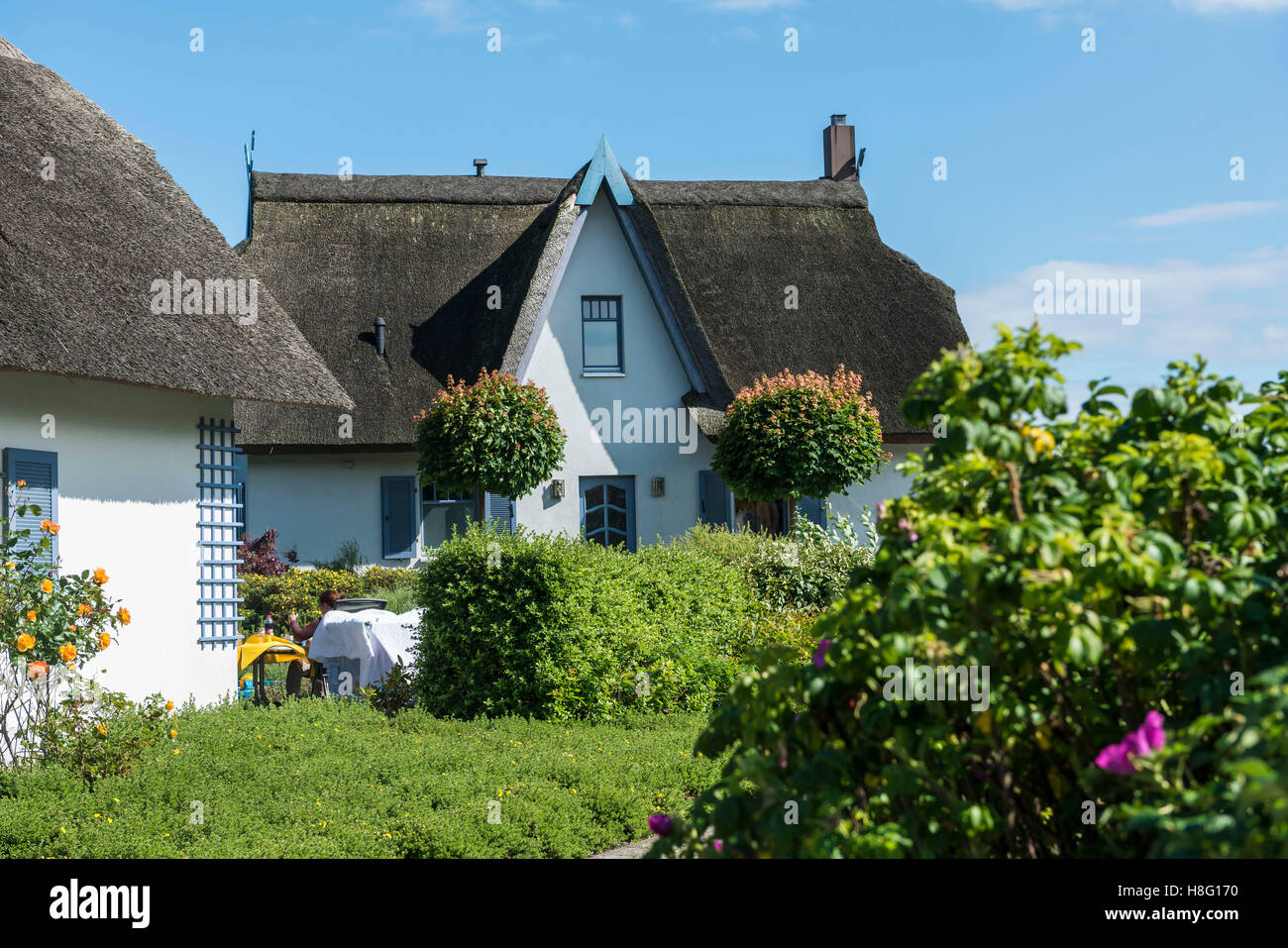 Putgarten, Schleswig-Holstein, Allemagne, maison avec toit de chaume traditionnel Banque D'Images