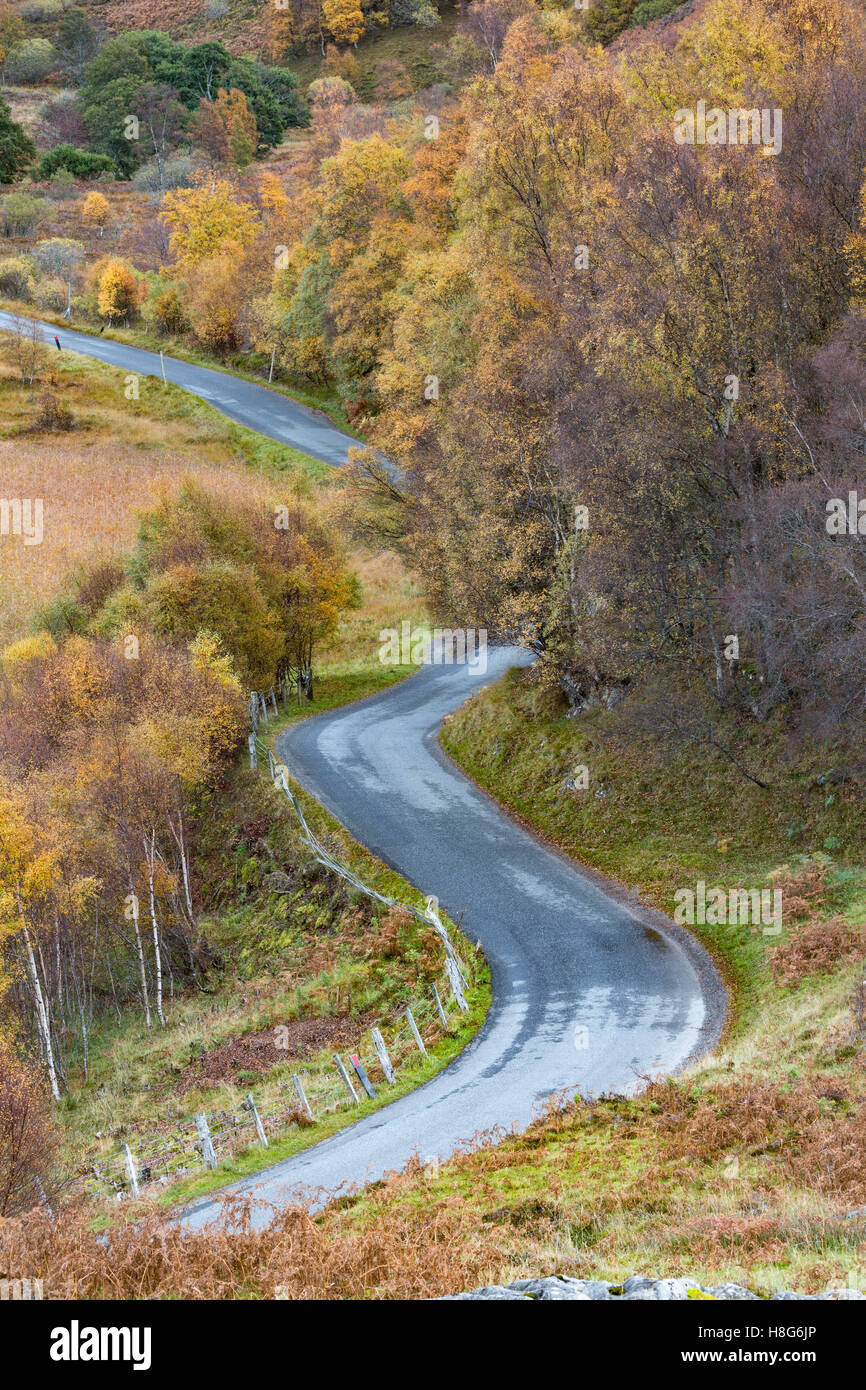 Un pays d'enroulement route tourne autour des arbres dans leurs couleurs d'automne, en Écosse. Banque D'Images