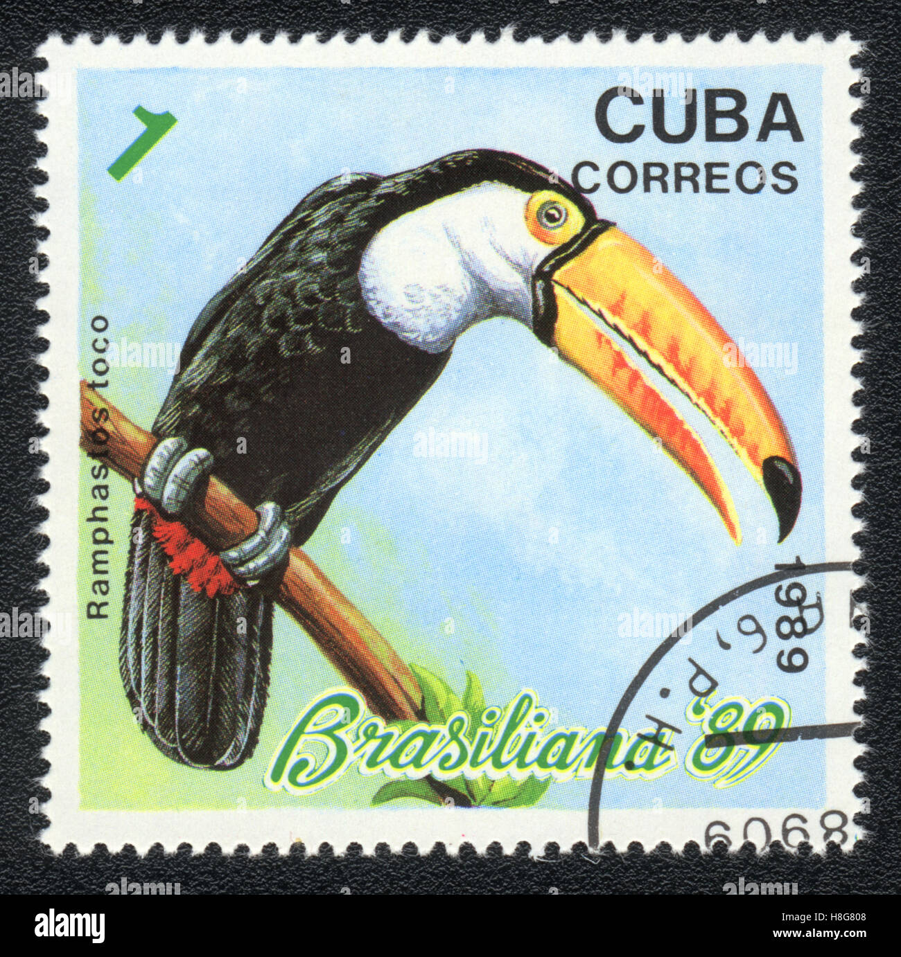 Un timbre-poste imprimé en Cuba montre un oiseau Toucan Toco (Ramphastos toco), 1989 Banque D'Images