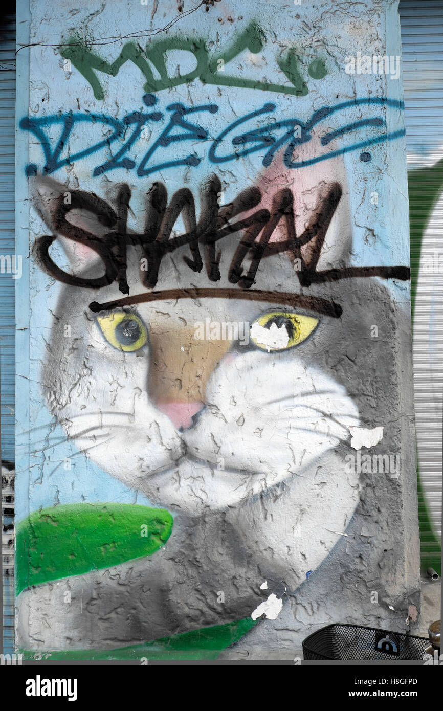 Cat graffiti sur un mur dans la rue Danziger, Prenzlauer Berg, Berlin KATHY DEWITT Banque D'Images