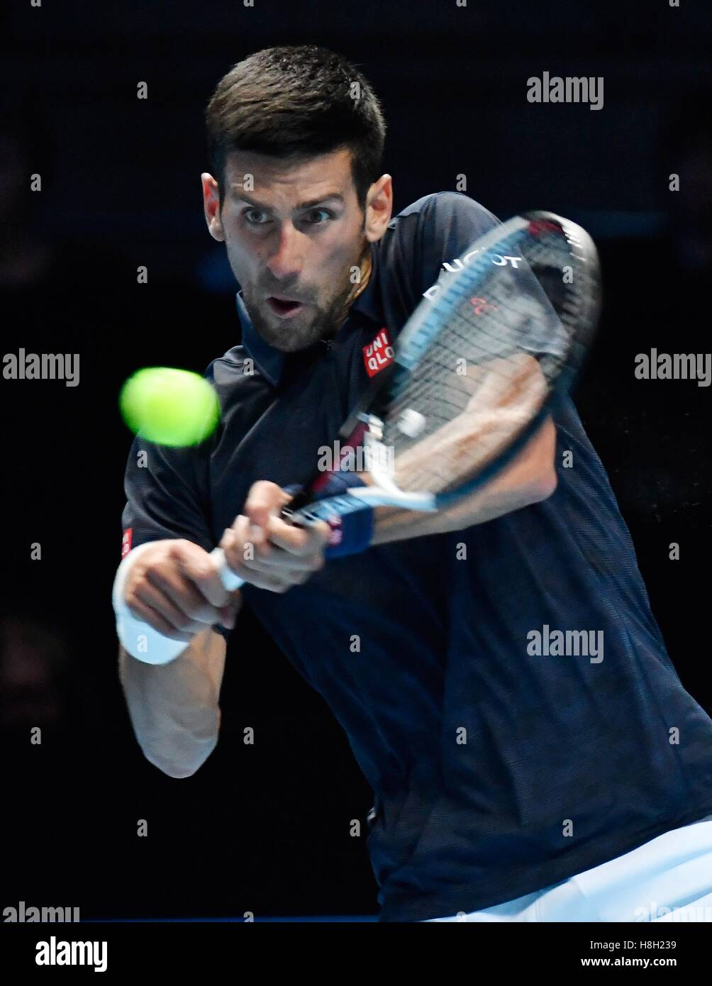 Londres, Royaume-Uni. 13 novembre, 2016. Barclays ATP World Tour Finals 02 Arena London UK Novak Djokovic SRB v Dominic Thiem AUT Djokovic en action pendant le match qu'il a gagné 2-1 Crédit : Leo Mason/Alamy Live News Banque D'Images