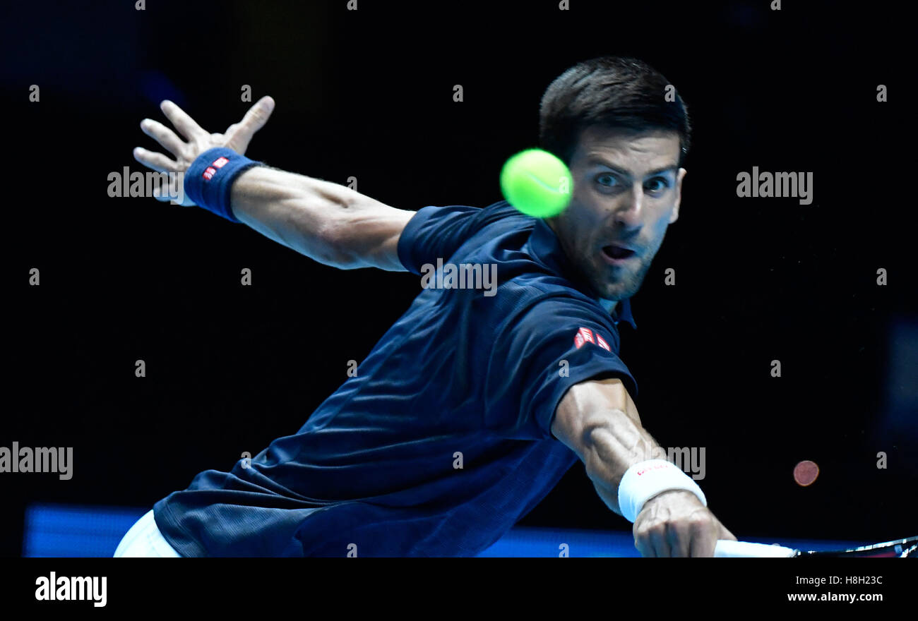 Londres, Royaume-Uni. 13 novembre, 2016. Barclays ATP World Tour Finals 02 Arena London UK Novak Djokovic SRB v Dominic Thiem AUT Djokovic en action pendant le match qu'il a gagné 2-1 Crédit : Leo Mason/Alamy Live News Banque D'Images