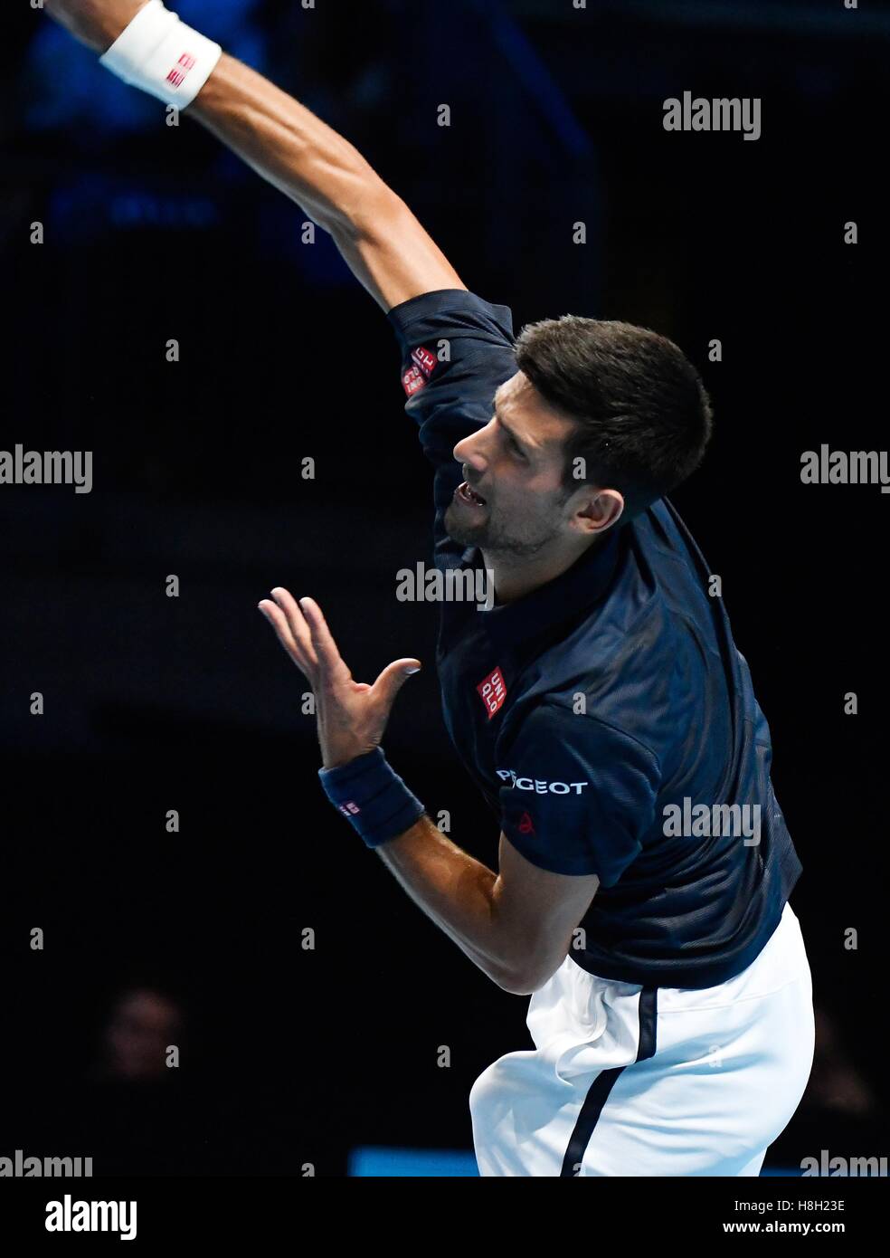Londres, Royaume-Uni. 13 novembre, 2016. Barclays ATP World Tour Finals 02 Arena London UK Novak Djokovic SRB v Dominic Thiem AUT Djokovic en action pendant le match qu'il a gagné 2-1 Crédit : Leo Mason/Alamy Live News Banque D'Images
