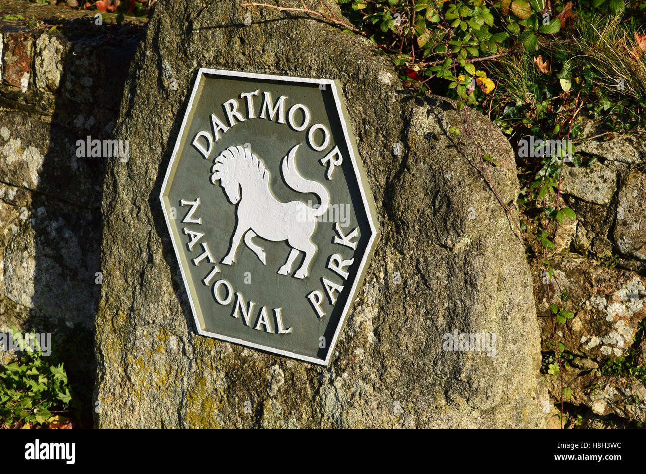 Panneau indiquant le chemin vers le parc national du Dartmoor, sur la vieille pierre, Devon avec Poney Dartmoor symbole, par le pont routier, près de Harford Banque D'Images