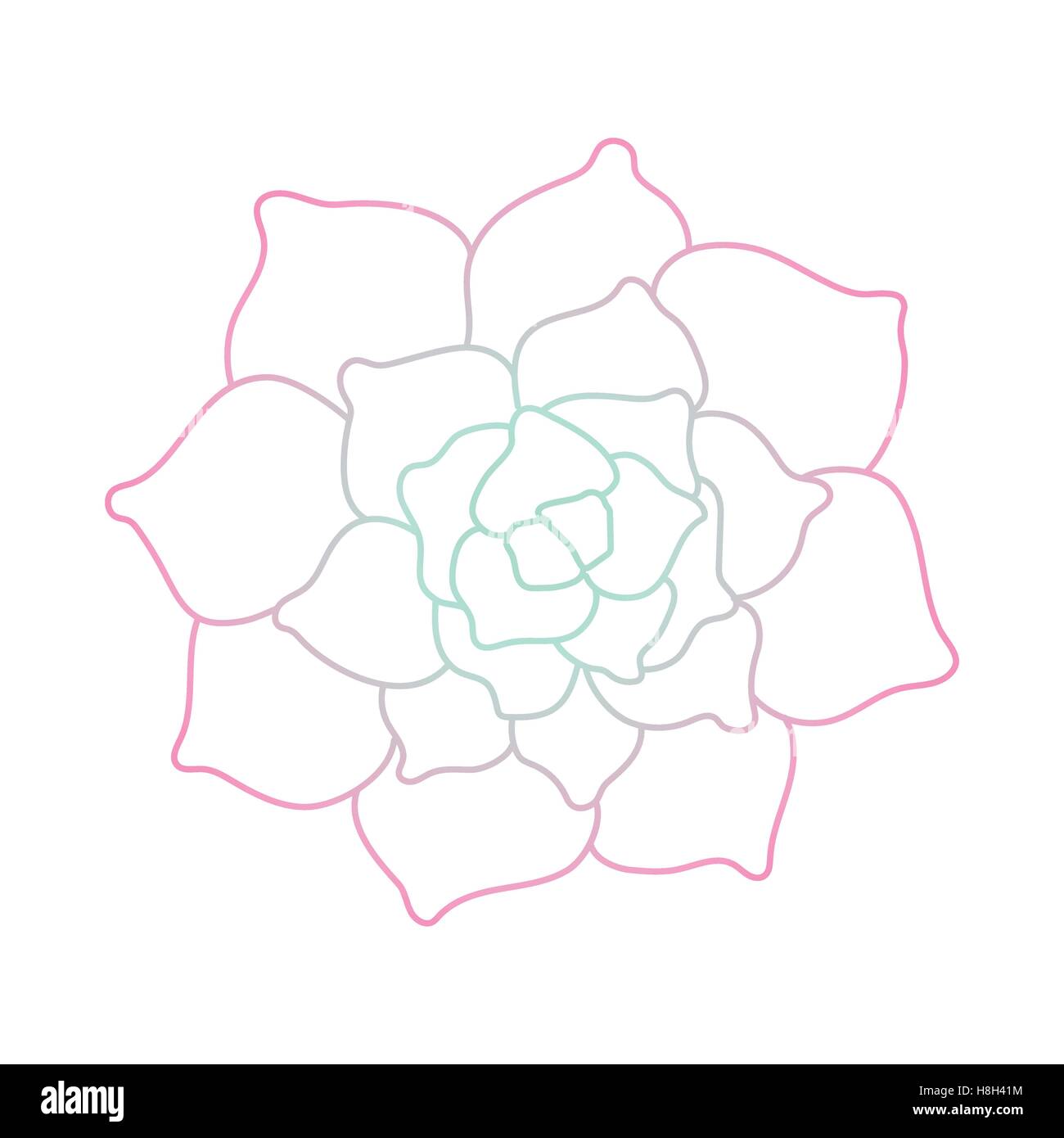 Art ligne plante succulente sur fond blanc Illustration de Vecteur