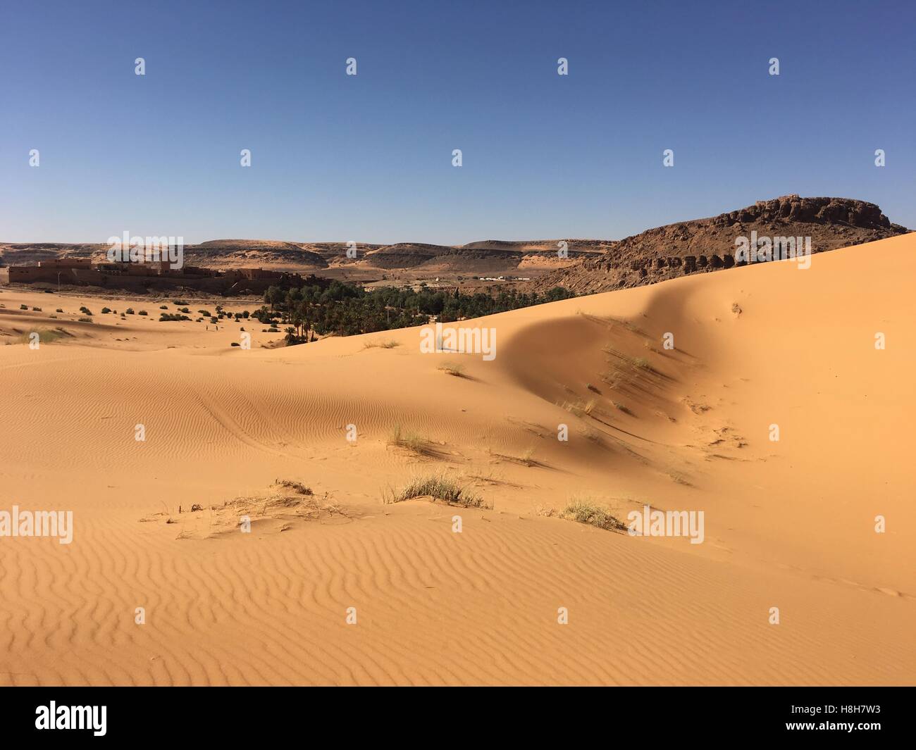 Désert vide illimité panorama de l'Afrique du Nord, l'Algérie Béchar Taghit sable désert Banque D'Images