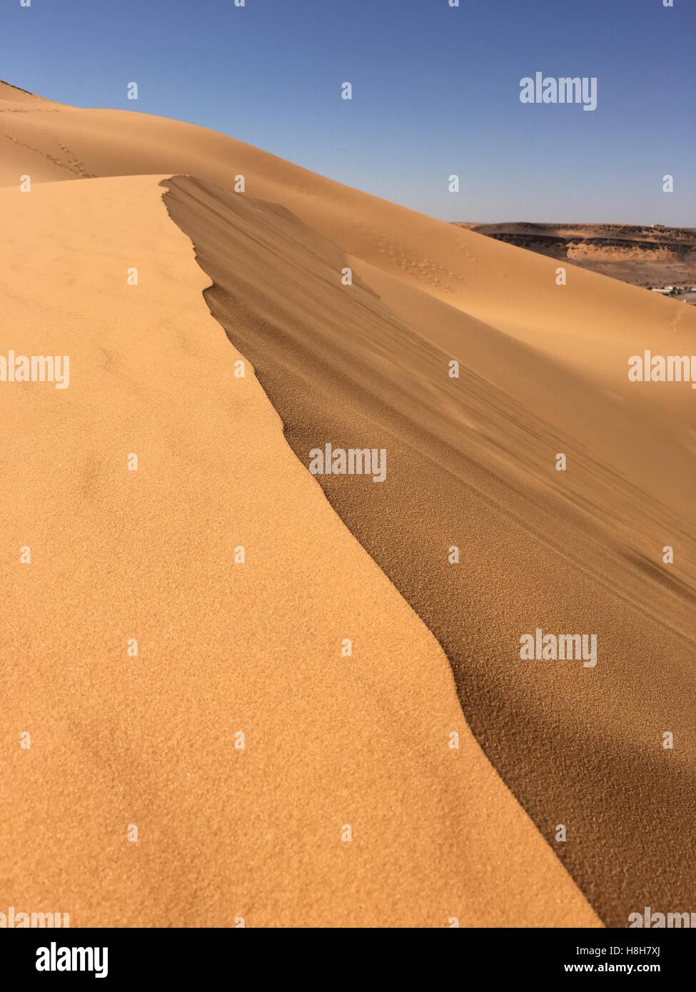 Désert vide illimité panorama de l'Afrique du Nord, l'Algérie Béchar Taghit sable désert Banque D'Images