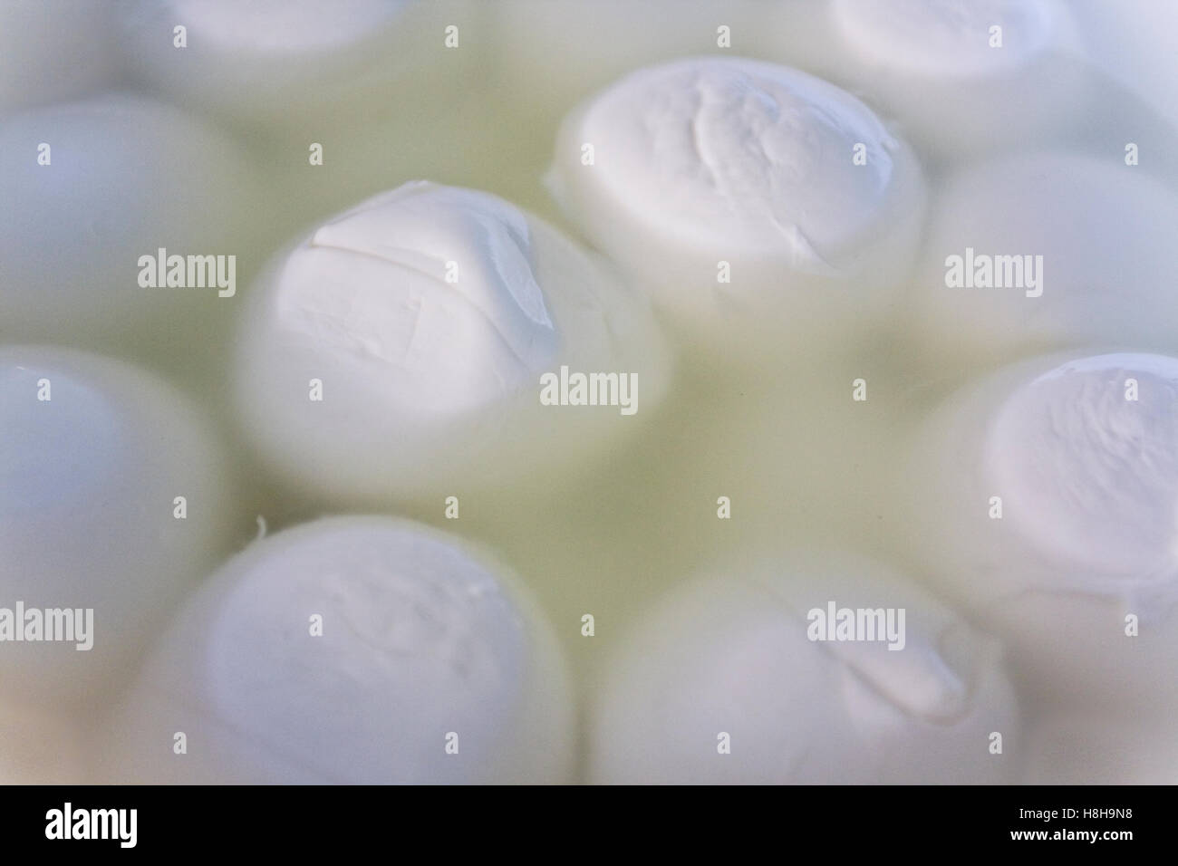 Mozzarella de bufflonne dans l'eau, célèbre Campana DOC produit, Naples, Campanie, Italie, Europe Banque D'Images