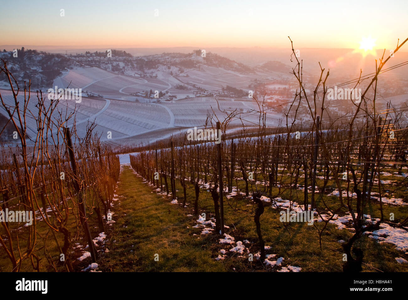 Vignes en hiver, vignes, vignoble, vue en direction de Mt. Rotenberg, neige, Stuttgart, Bade-Wurtemberg Banque D'Images