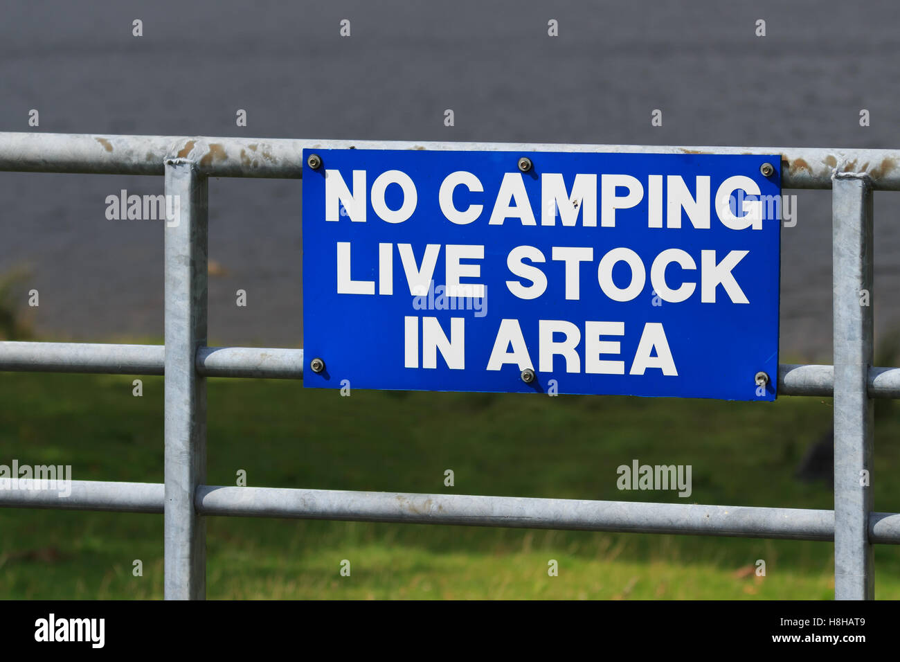 Panneau bleu fixé sur metal ferme avec le libellé Aucun Camping, vivre dans la zone de Stock Banque D'Images