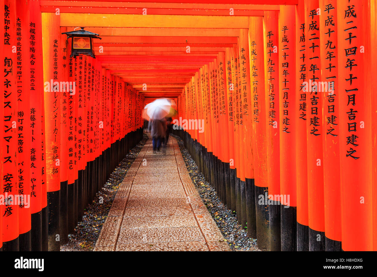 Kyoto, Japon. Les portes dans le sanctuaire Fushimi Inari. Banque D'Images