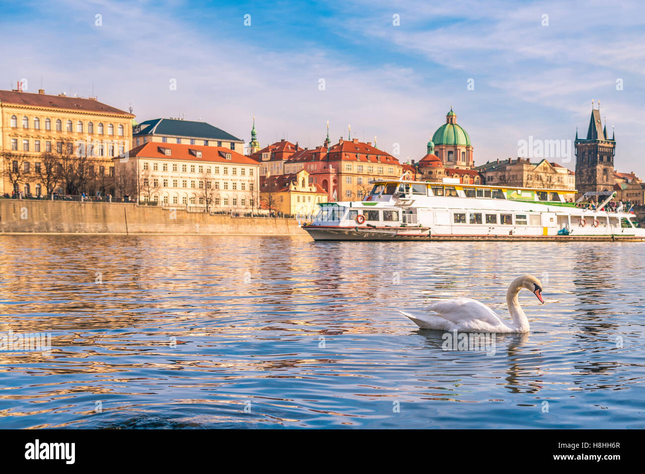 Cygne sur la Vltava à Prague Banque D'Images