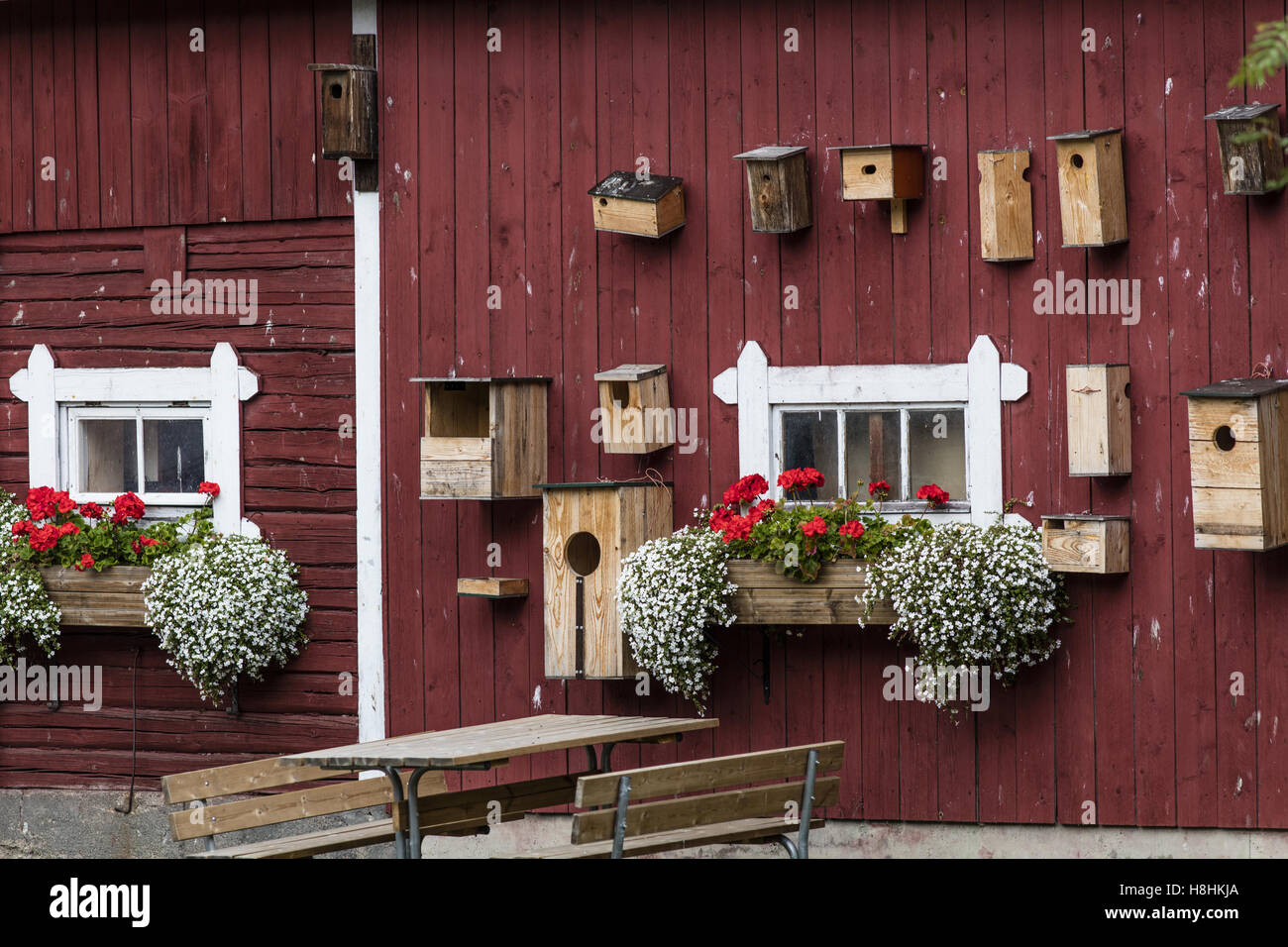 Heinola, boîtes d'oiseaux, Banque D'Images