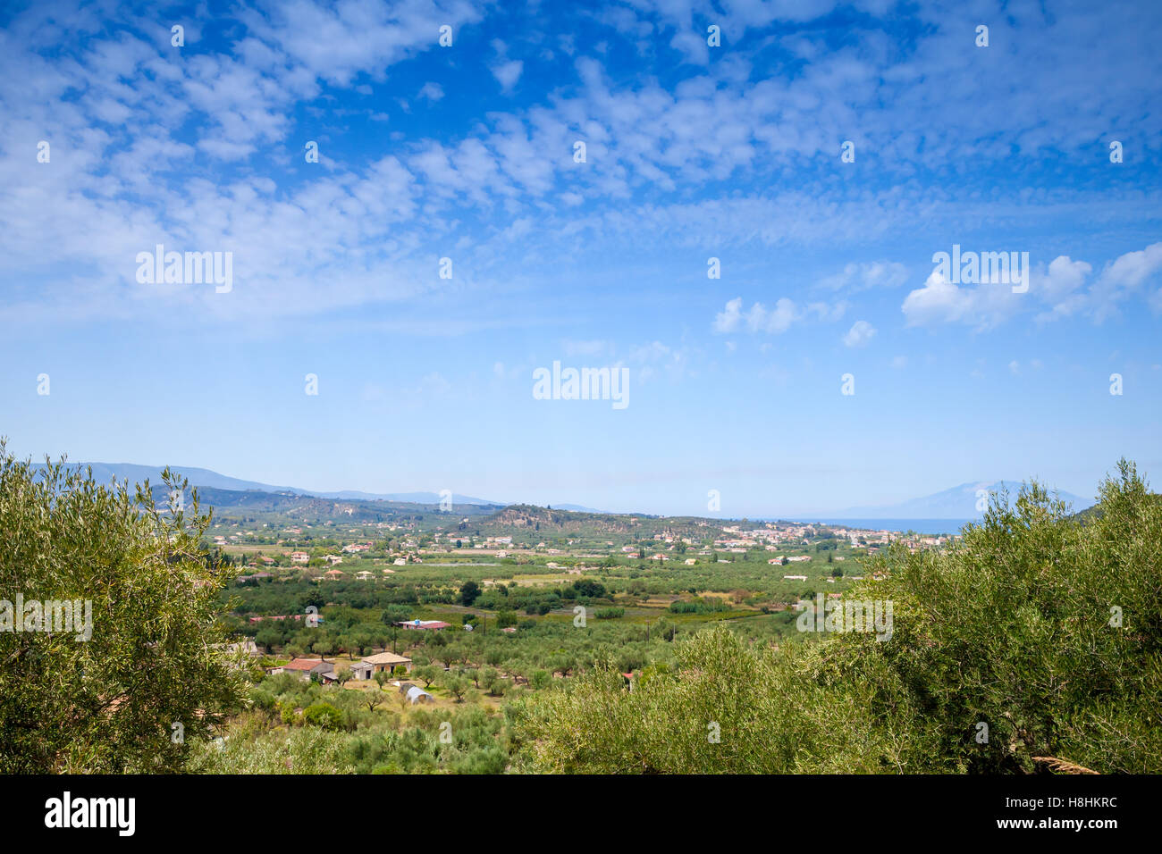 L'été du paysage rural de Zante, l'île grecque dans la mer Ionienne Banque D'Images