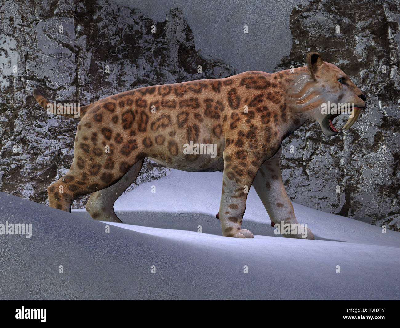 Un tigre à dents de sabre fait son chemin à travers la neige qu'il en a l'air de montagne pour la période de l'Éocène. Banque D'Images