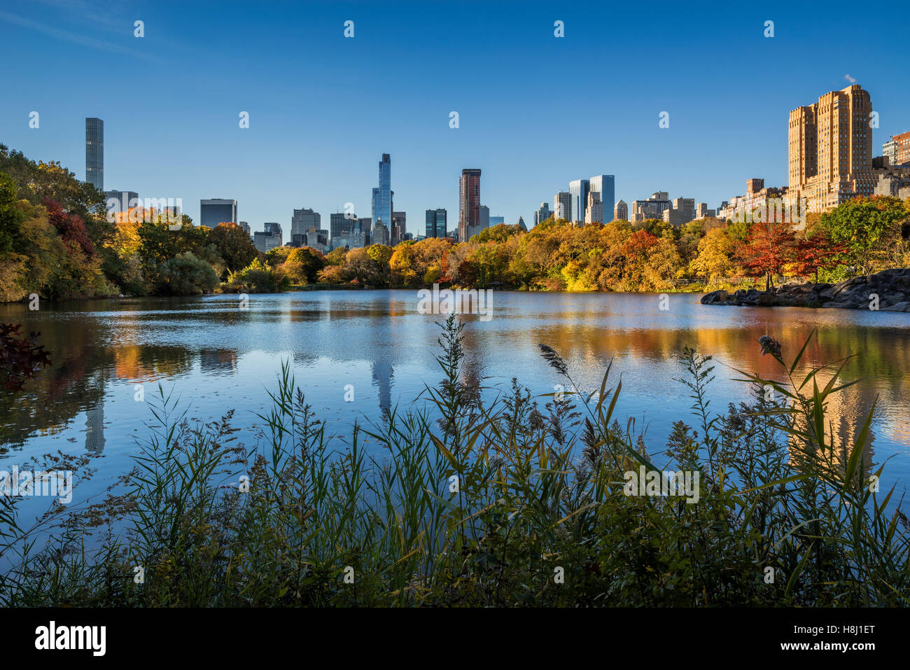 Automne dans Central Park au lac avec Midtown et l'Upper West Side de gratte-ciel. Feuillage de l'automne à New York City Banque D'Images