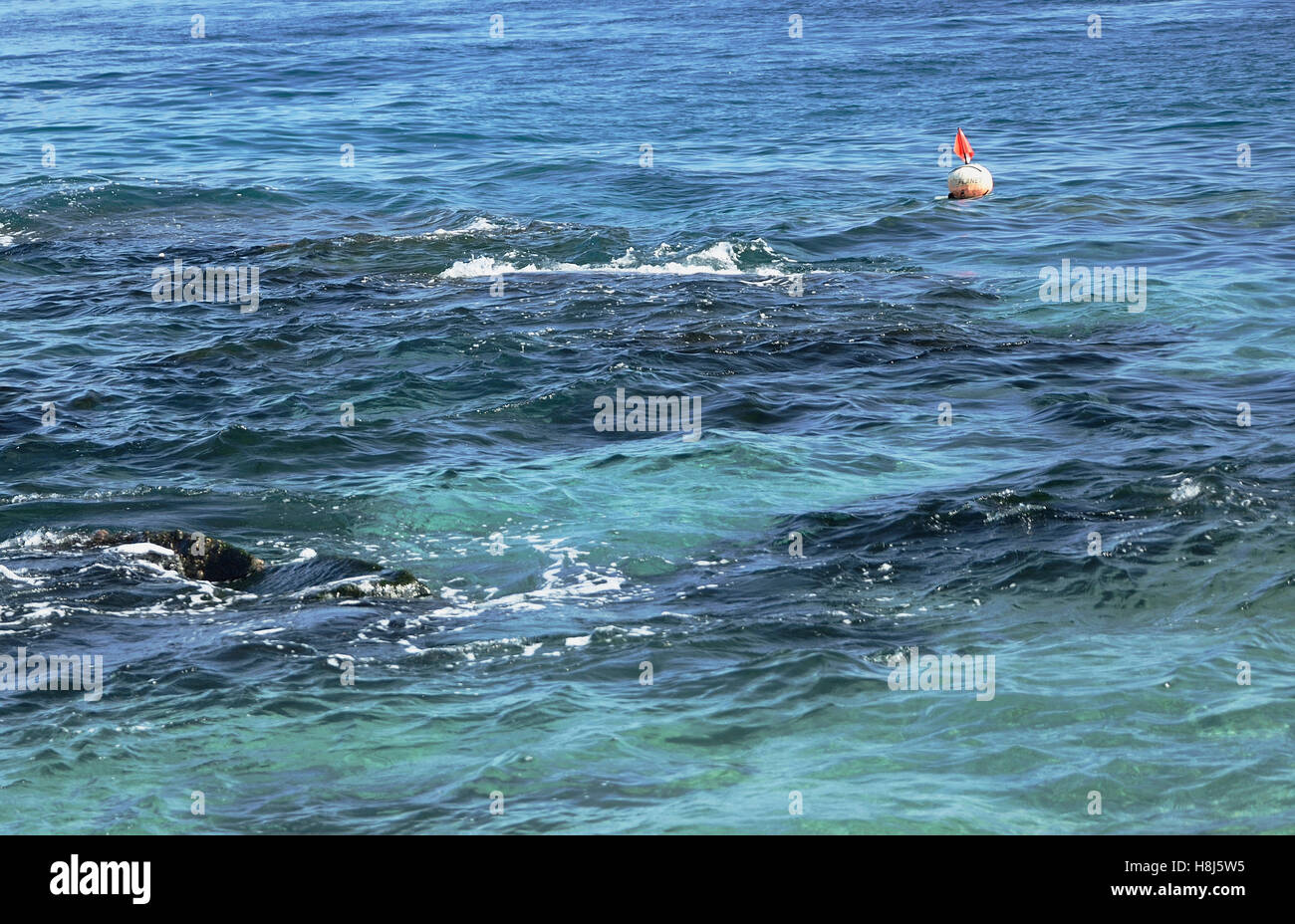 La bouée de surface dans des eaux turquoise Banque D'Images