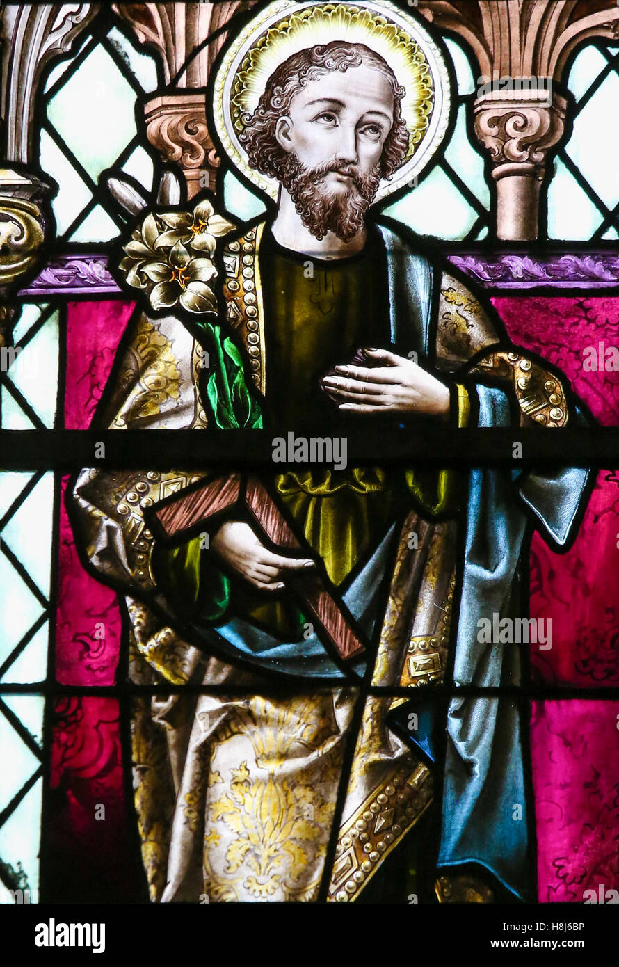 Vitrail représentant Saint Joseph, dans la Cathédrale de Saint Rumbold à Mechelen, Belgique. Banque D'Images