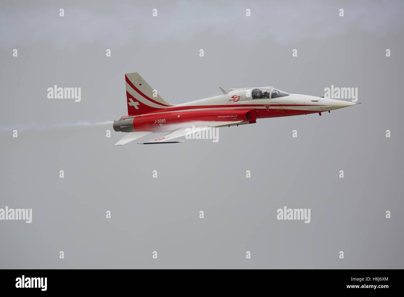 Patrouille Suisse Northrop F-5E Tiger ll Banque D'Images